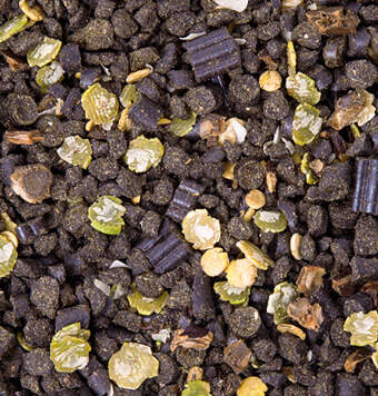 kachelnavi pferdefutter getreidefrei